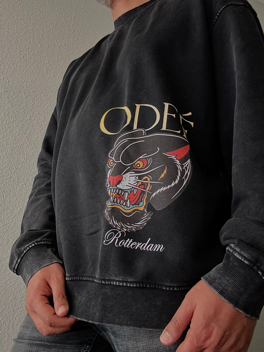 Tigger Unisex Oversized Faded Sweatshirt